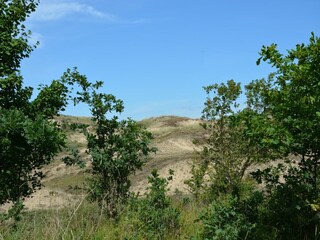 Bungalow Holland Environnement 22