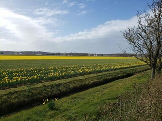 Bungalow Holland Umgebung 25