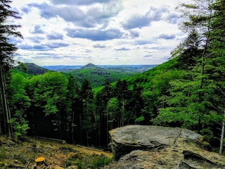 Aussichtsreicher Blick das Wäldermeer Pfälzerwald/Kernz