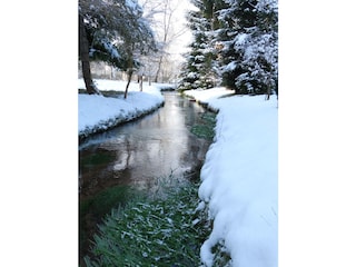 Winteridylle am Bach