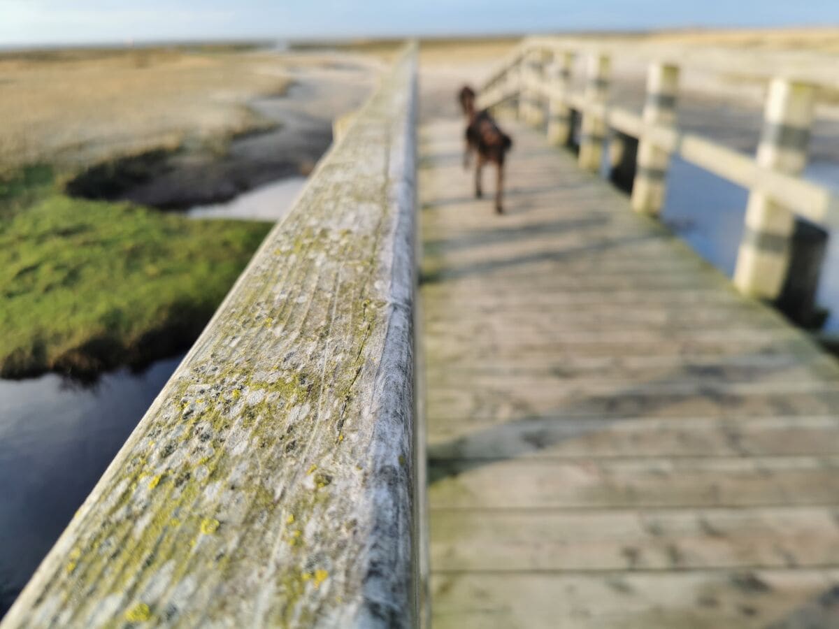 Brücke am Südstrand