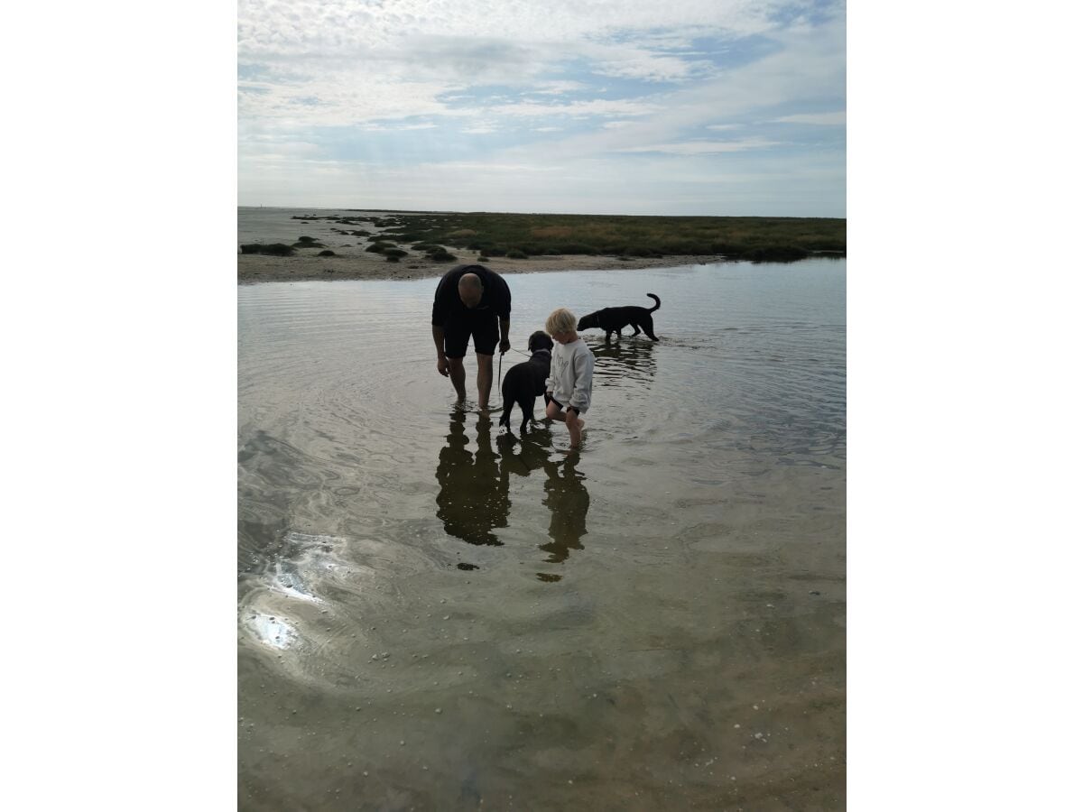 Krebse suchen am Böhler Strand