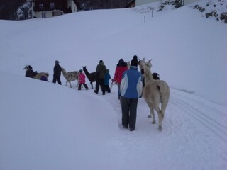 Appartamento Umhausen Ambiente 18