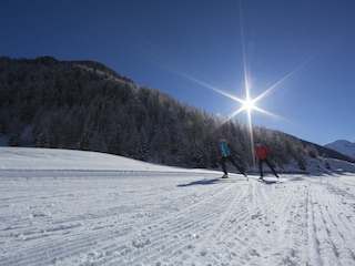 Traum Langlaufloipe