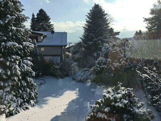 Winterblick aus dem Fenster in den Garten