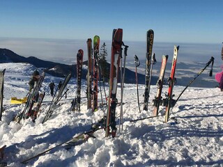 Viele Skigebiete sind ganz in unserer Nähe