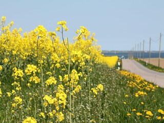 Bauernhof Steffenshagen  34
