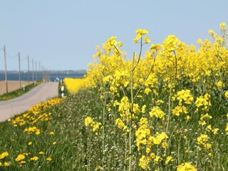 Bauernhof Steffenshagen Umgebung 17