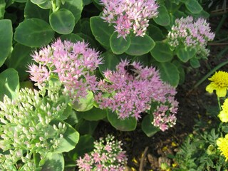 Fattoria Steffenshagen Ambiente 19