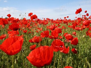 Casa de campo Steffenshagen Entorno 23