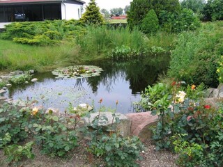 Farmhouse Steffenshagen Environment 27