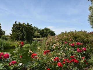 Bauernhof Steffenshagen Umgebung 30