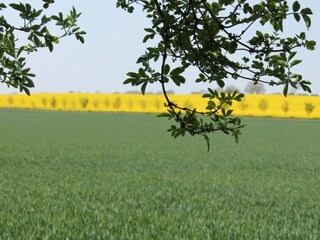 Bauernhof Steffenshagen Umgebung 20