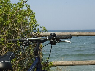 Casa de campo Steffenshagen Entorno 28