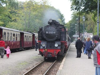 Bauernhof Steffenshagen Umgebung 23