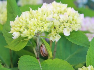 Fattoria Steffenshagen Ambiente 32