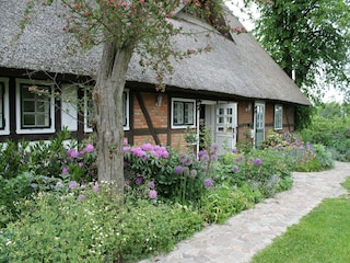 Apartment Steffenshagen Außenaufnahme 5