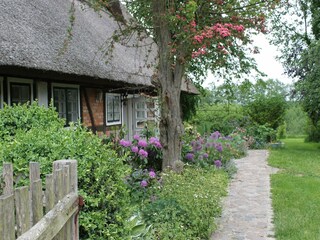 Appartement Steffenshagen Buitenaudio-opname 8