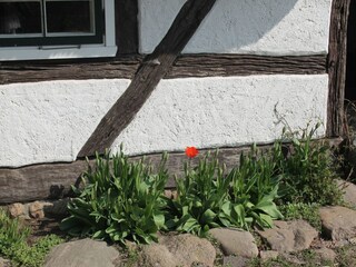 Apartment Steffenshagen Outdoor Recording 6