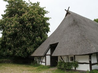 Appartement Steffenshagen  40