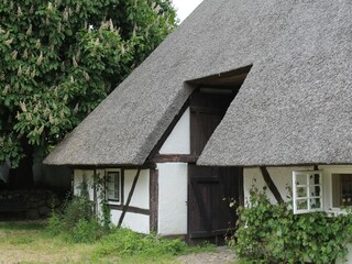 Apartment Steffenshagen Außenaufnahme 9