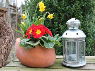 Apartamento Steffenshagen  36