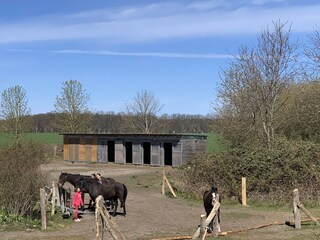 Appartement Semlow Enregistrement extérieur 5