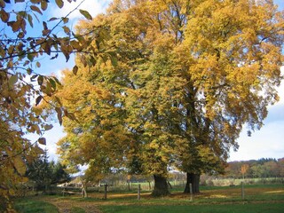 Appartamento Semlow Registrazione all'aperto 13