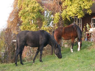 Appartamento Semlow  38