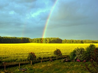 Apartamento Semlow  40