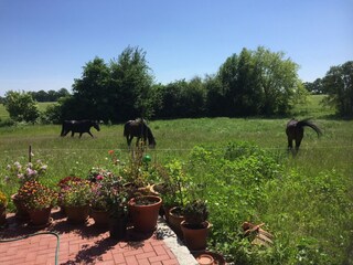 Apartamento Semlow Grabación al aire libre 10