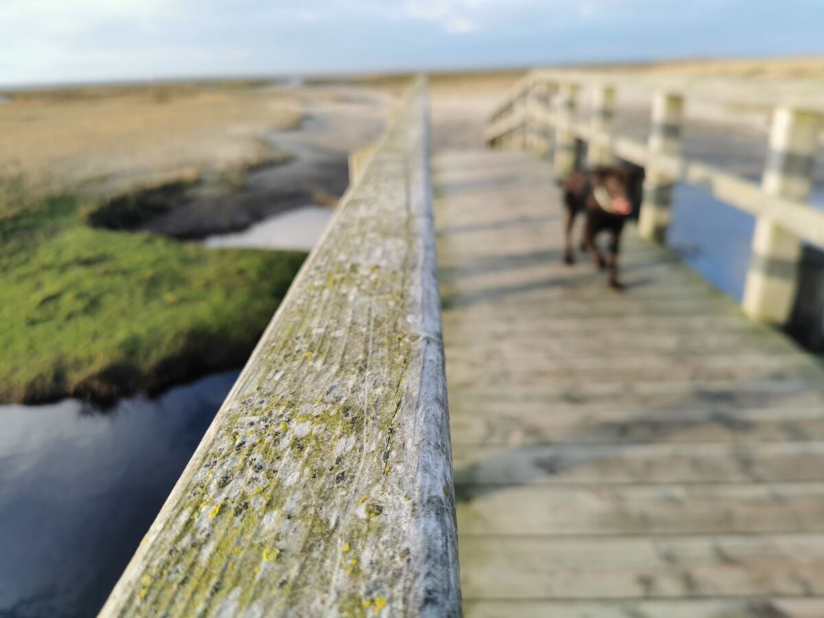 Am Böhler Strand