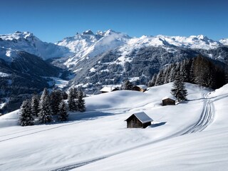 Appartamento per vacanze Gaschurn Ambiente 33