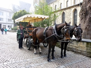 Kutschfaht Wernigerode zum Schloß
