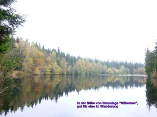 Kleine Wanderung zu dem Silberteich