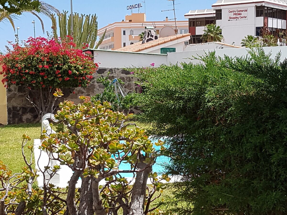 Bungalow Playa del Inglés Außenaufnahme 14