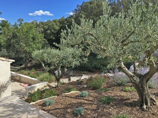 Villa Eyragues Buitenaudio-opname 13