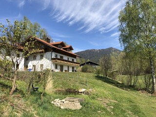 Gästehaus mit Ferienwohnungen