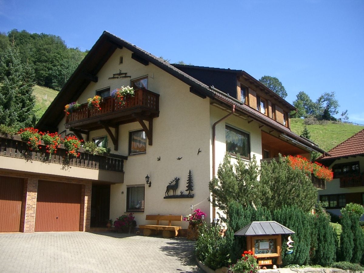 Vakantieappartement Münstertal Buitenaudio-opname 1