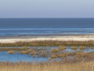 Naturschutzgebiet im Wattenmeer