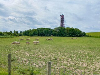 Sanierung Leuchtturm