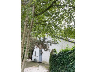 Vakantiehuis Dangast Buitenaudio-opname 6
