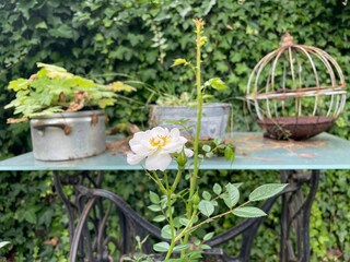 Maison de vacances Dangast Enregistrement extérieur 3