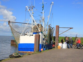 Vakantiehuis Dangast Omgeving 31