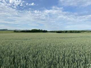 Holiday house Sennevoy-le-Bas Environment 31