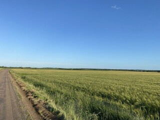 Vakantiehuis Sennevoy-le-Bas Omgeving 34