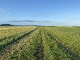 Holiday house Sennevoy-le-Bas Environment 35