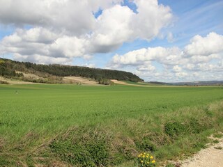 Vakantiehuis Sennevoy-le-Bas Omgeving 27