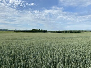 Vakantiehuis Sennevoy-le-Bas Omgeving 30