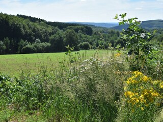 Holiday house Sennevoy-le-Bas Environment 38